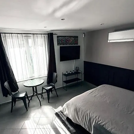 Air-conditioned With Terrace 5 Min To Metro Line 14 Orly